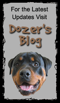 Visit Dozer's Blog